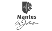 Diagnostic enrobé amiante Saint-Maur-des-Fossés